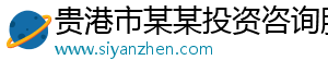 贵港市某某投资咨询服务中心
